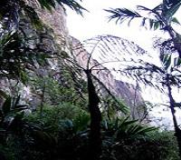 Roraima Trekking 